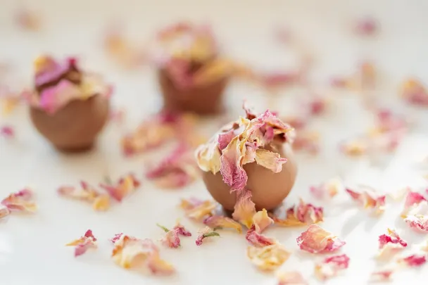 Casino Generation VIP Android/iOS Forrit